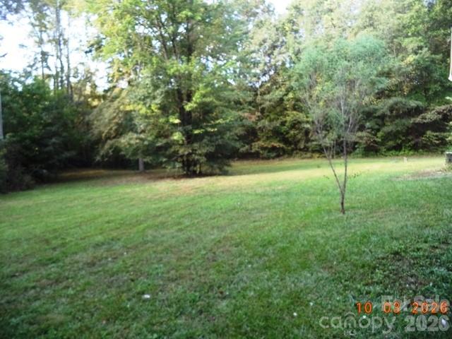Yard - 115 Hawkins Avenue, Salisbury