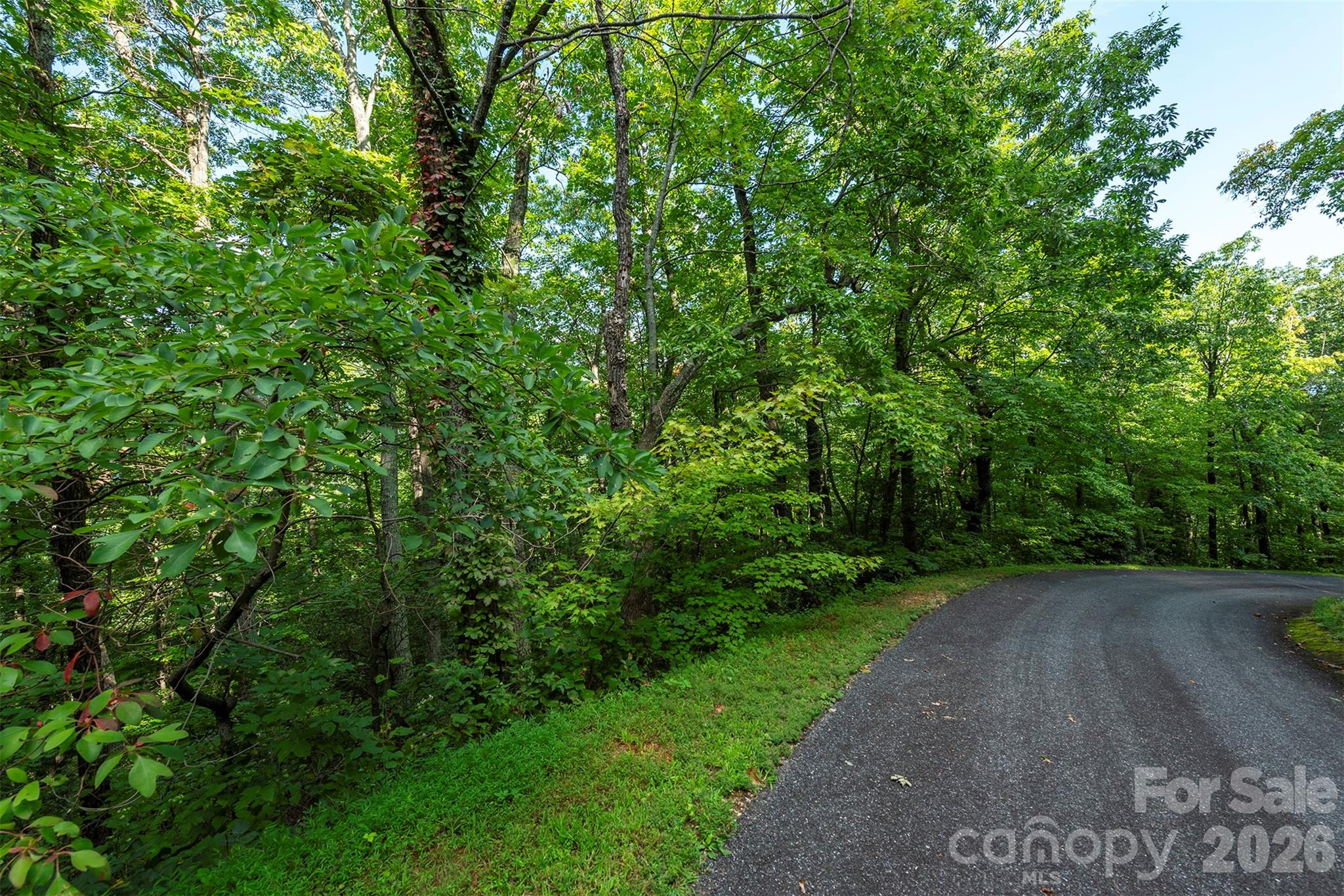 Lot at 1405 North Haven Drive, Black Mountain, photo 2 of 28