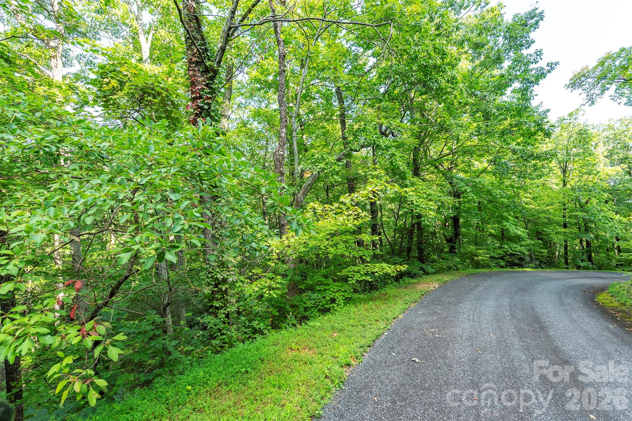 Lot at 1405 North Haven Drive, Black Mountain, photo 3 of 28