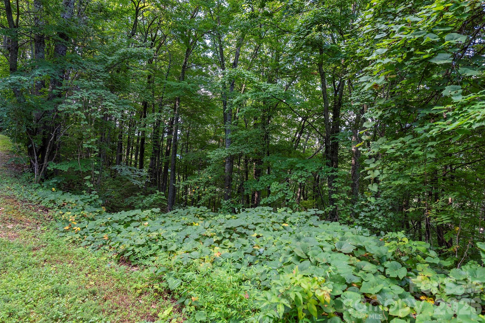 Lot at 1405 North Haven Drive, Black Mountain, photo 4 of 28