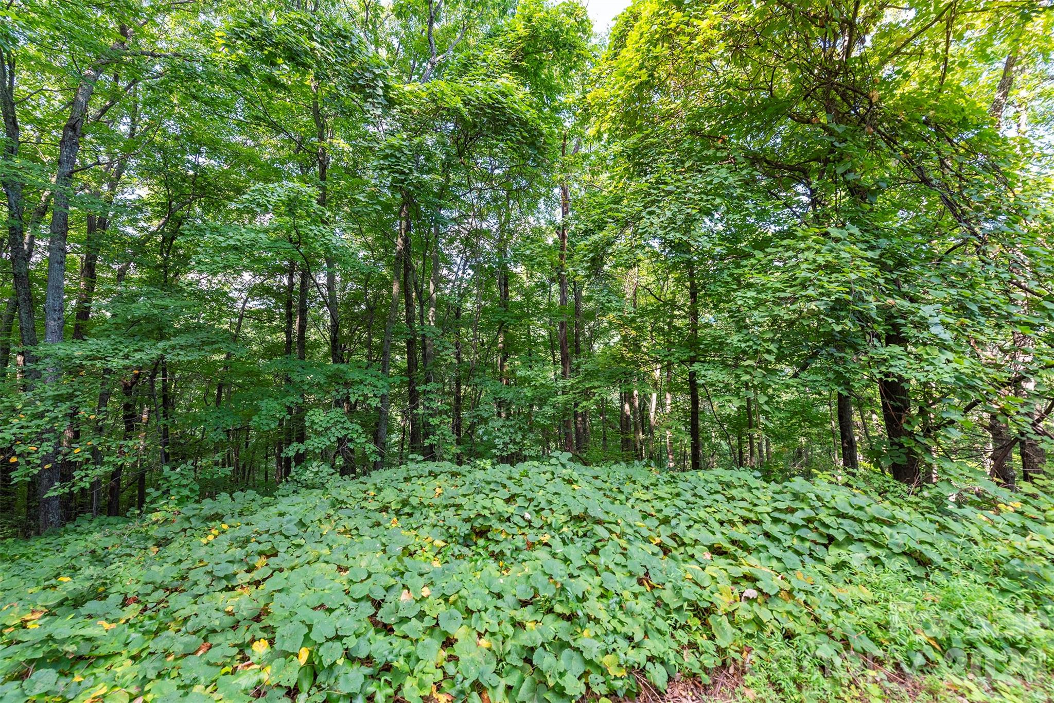 Lot at 1405 North Haven Drive, Black Mountain, photo 9 of 28