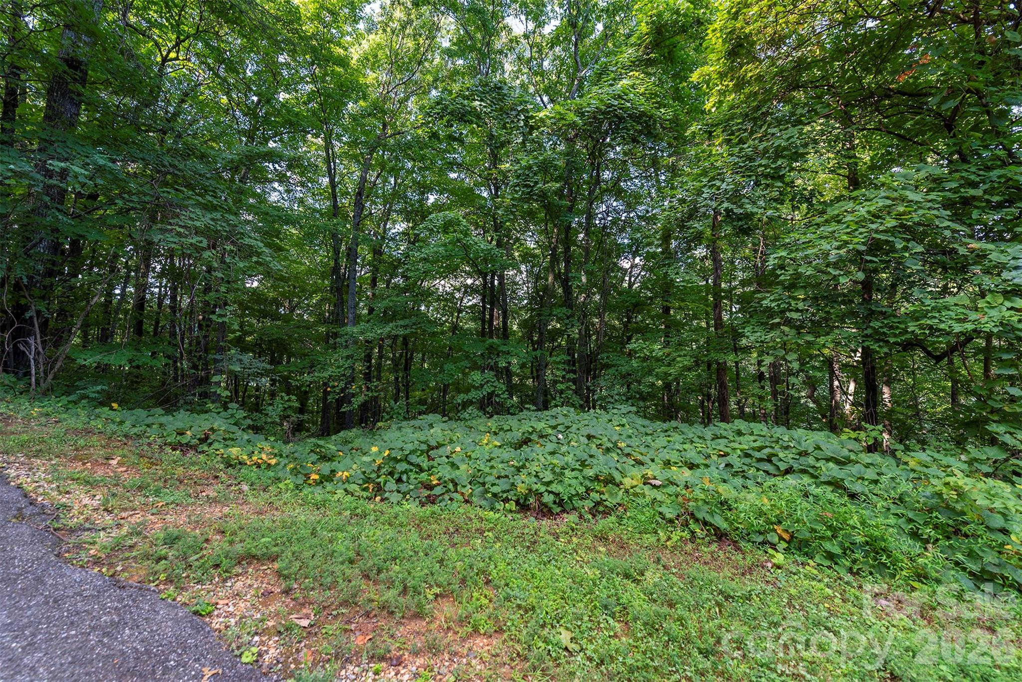 Lot at 1405 North Haven Drive, Black Mountain, photo 10 of 28