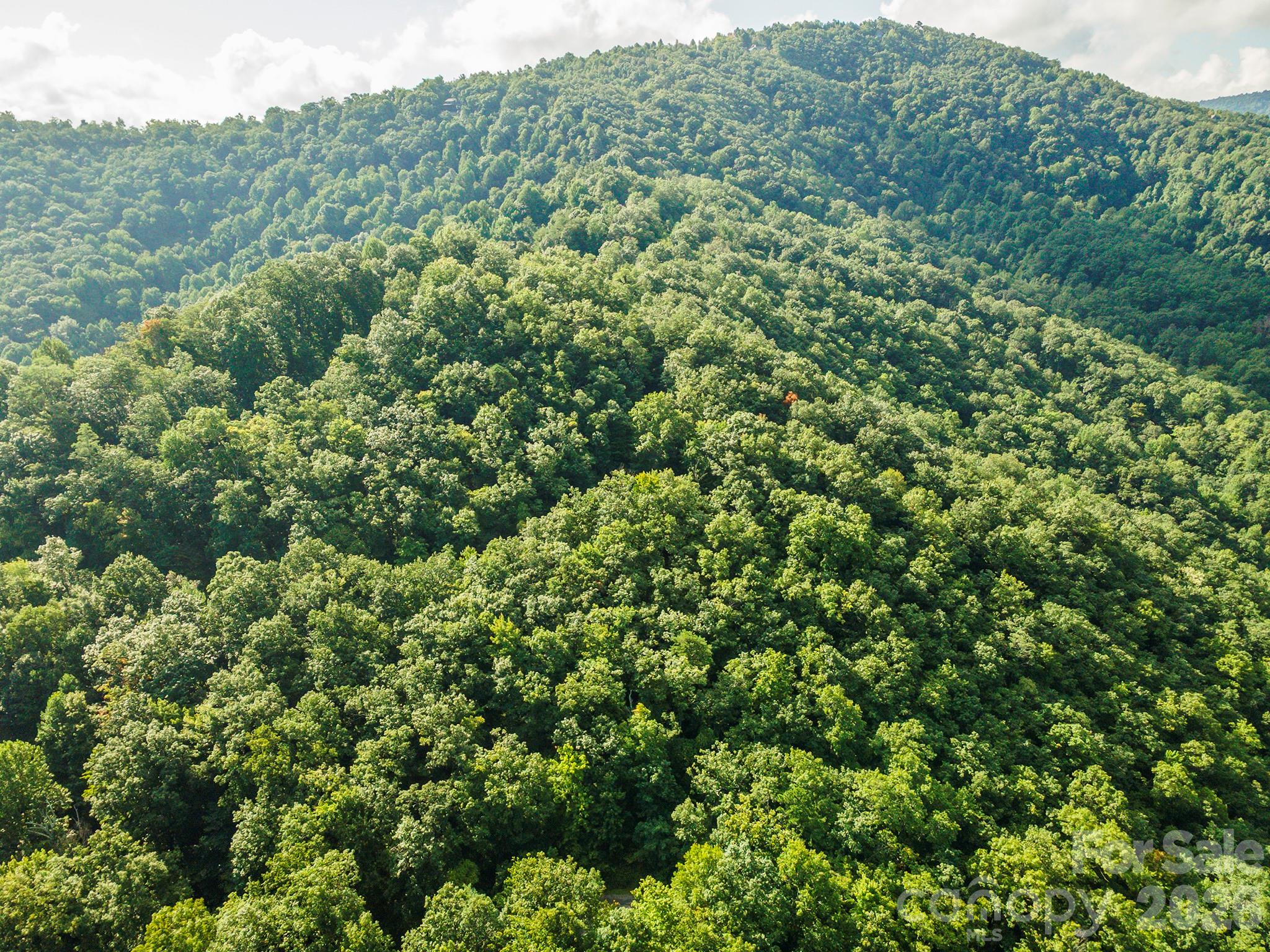 Lot at 1405 North Haven Drive, Black Mountain, photo 11 of 28