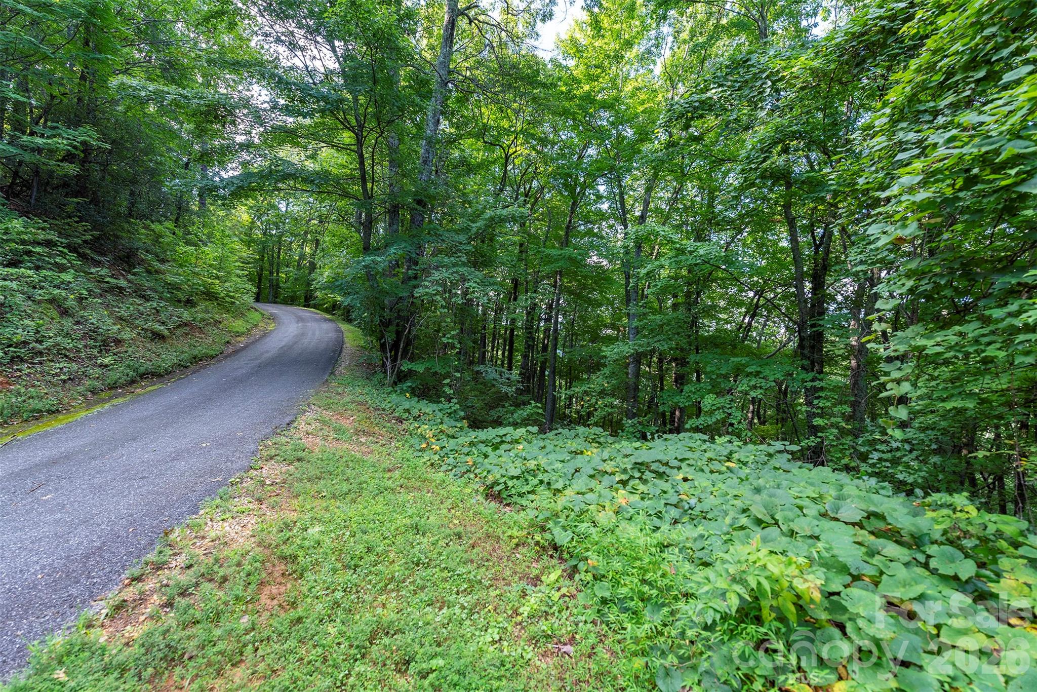 Lot at 1405 North Haven Drive, Black Mountain, photo 12 of 28