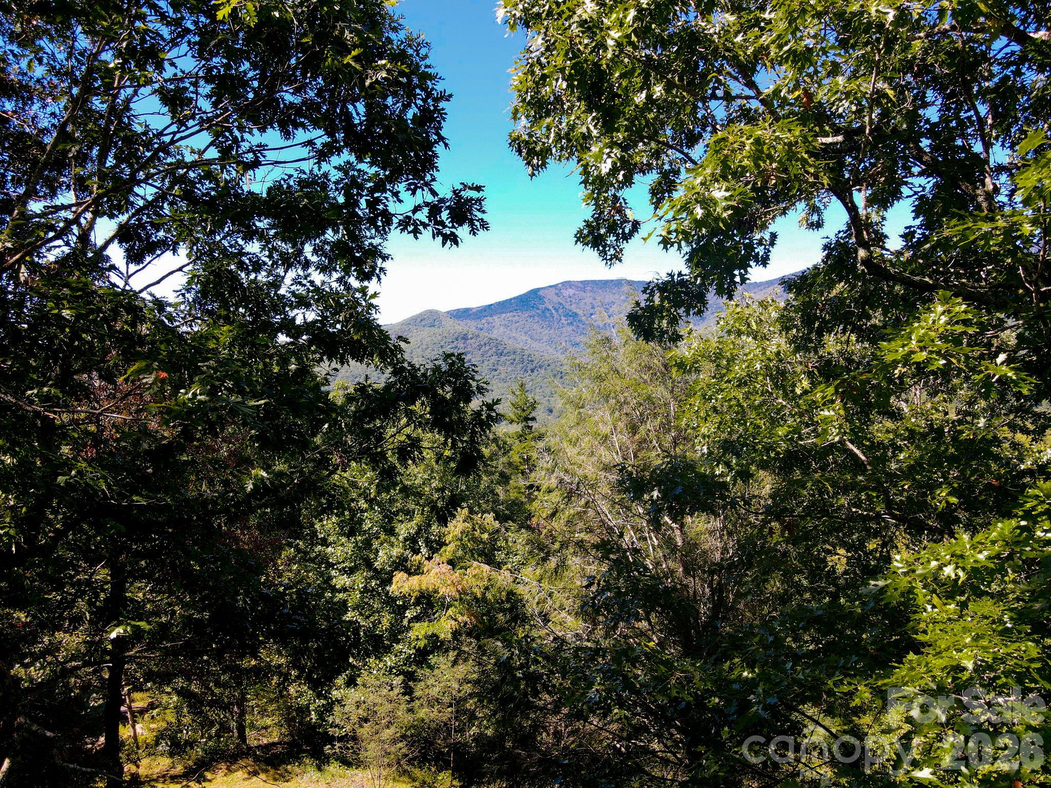 Mount Mitchell View from Deck - 335 Mt. Mitchell Drive, Burnsville