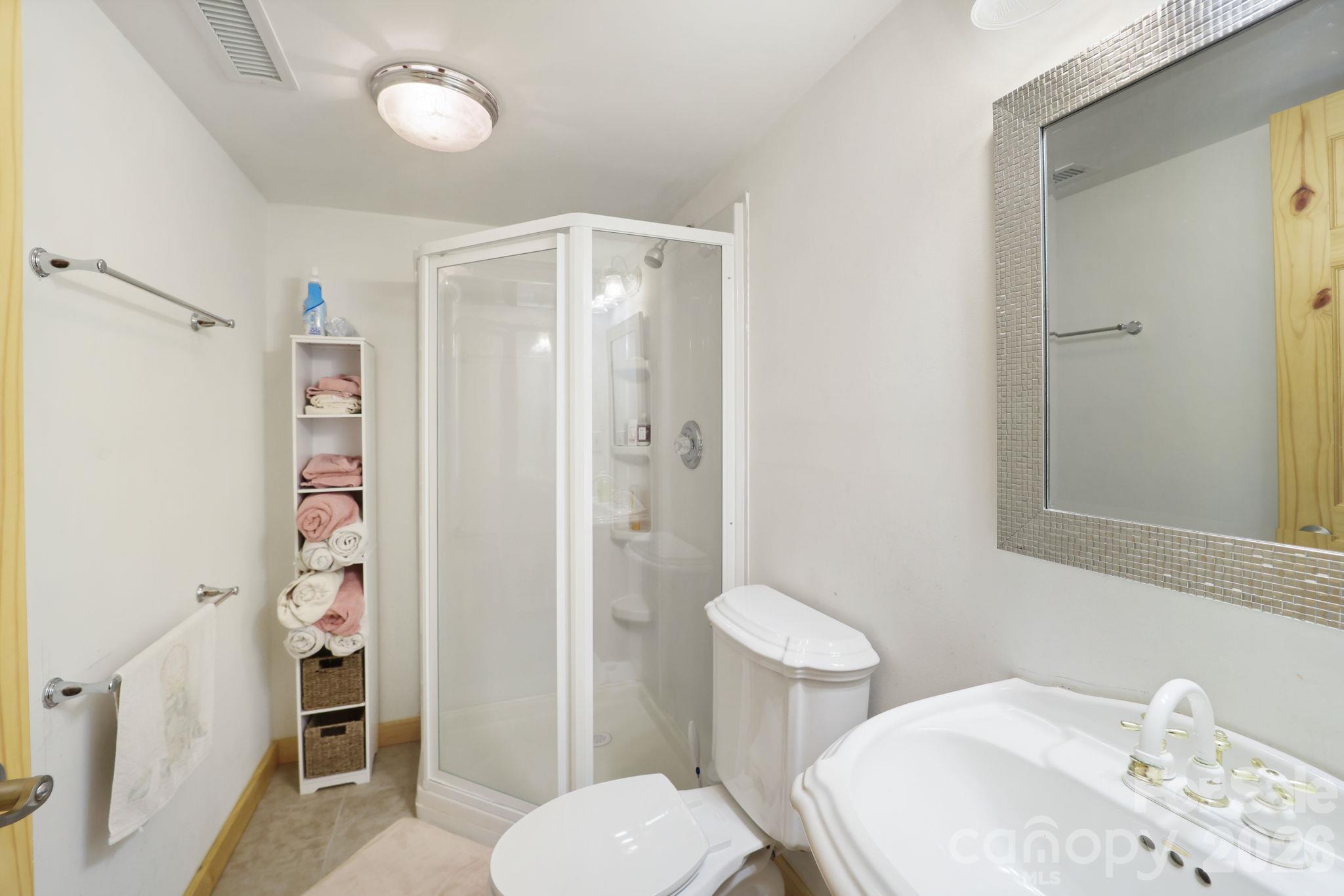 Bonus Room Ensuite - 335 Mt. Mitchell Drive, Burnsville