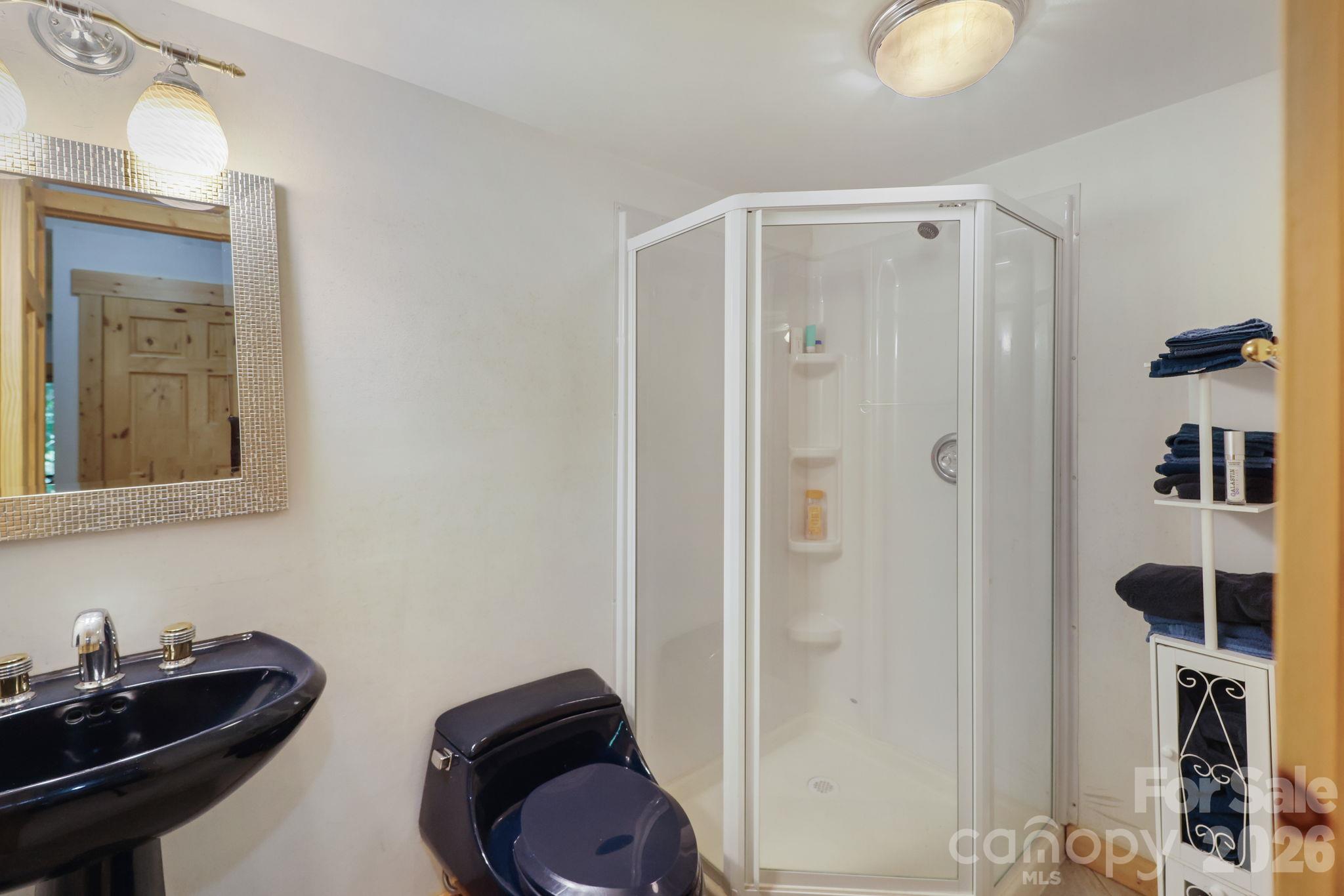 Full Bathroom off Recreation Room - 335 Mt. Mitchell Drive, Burnsville