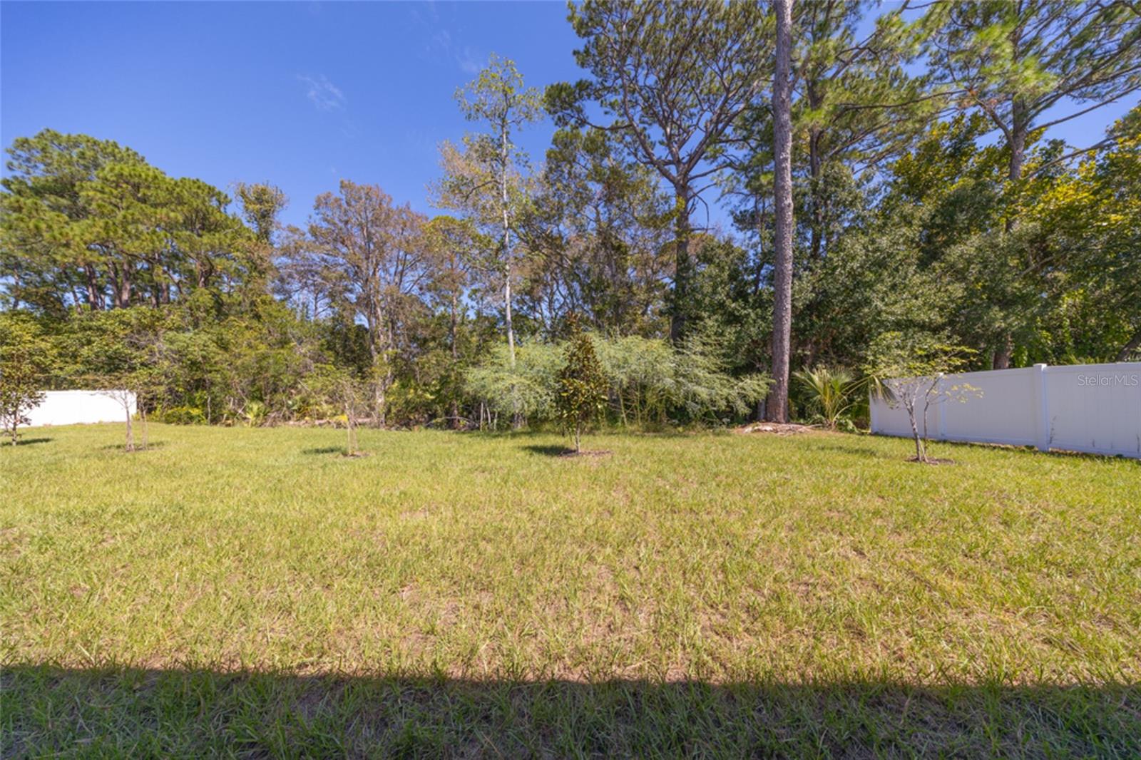 Single Family Residence at 35 FARNELL LN, PALM COAST, photo 18 of 19