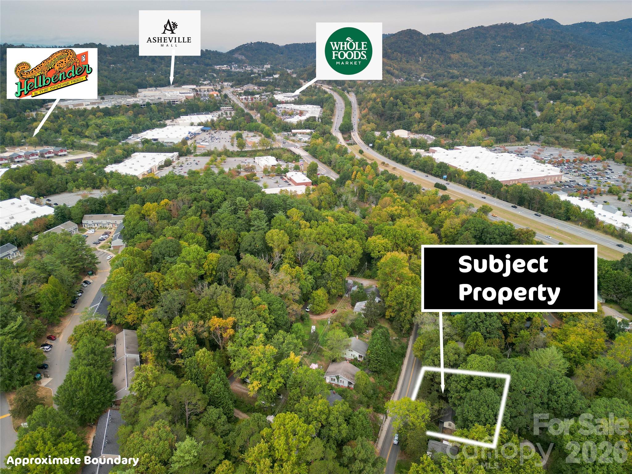 Approximate boundary - 18 Wood Avenue, Asheville