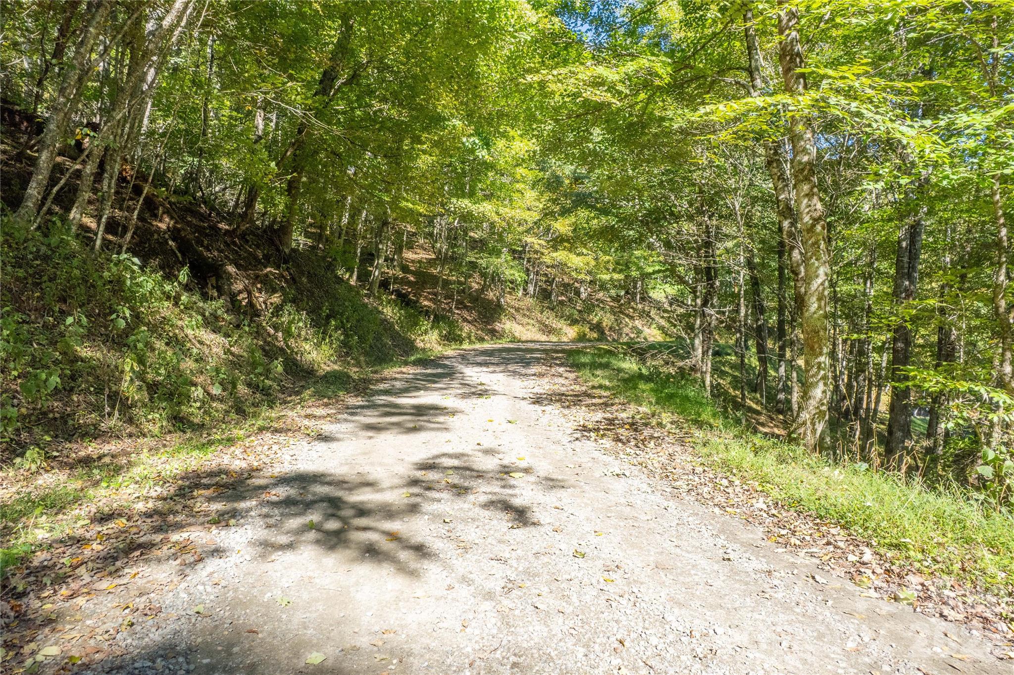Lot at 22 Trillium Lane, Mars Hill, photo 13 of 27
