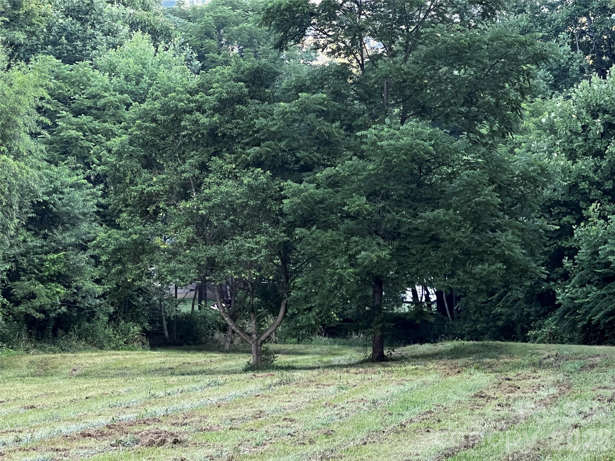 Lot at Lot 1 Turtle Rock Lane, Waynesville, photo 2 of 29