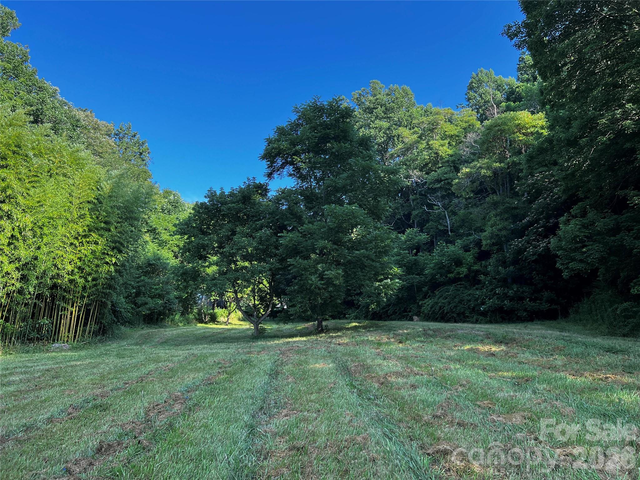 Lot at Lot 1 Turtle Rock Lane, Waynesville, photo 3 of 29
