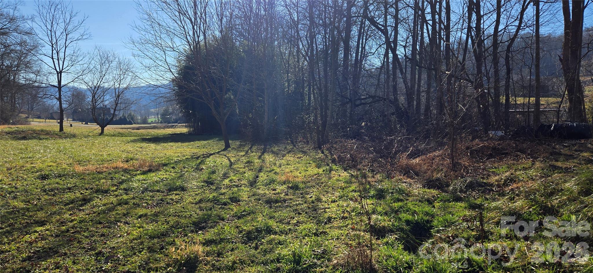 Lot at Lot 1 Turtle Rock Lane, Waynesville, photo 6 of 29