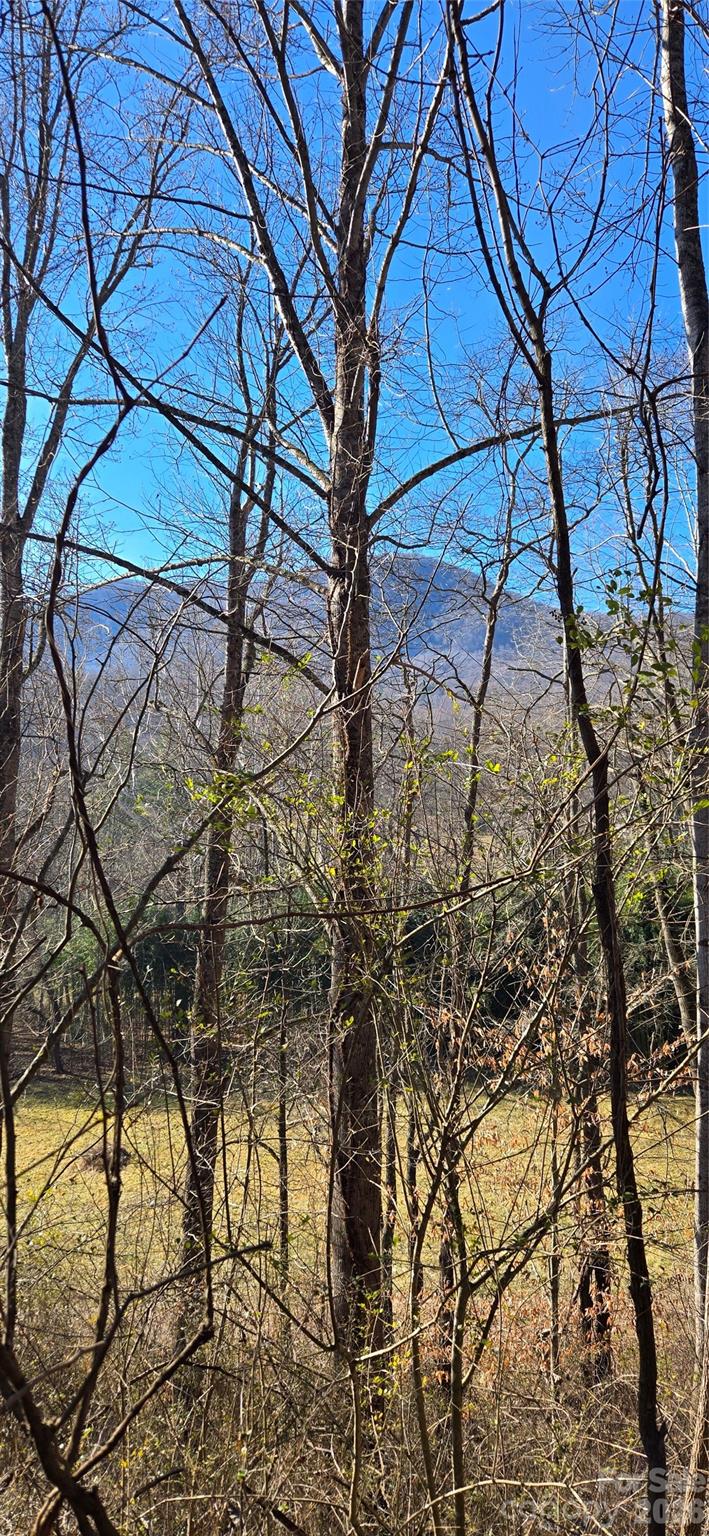 Lot at Lot 1 Turtle Rock Lane, Waynesville, photo 11 of 29
