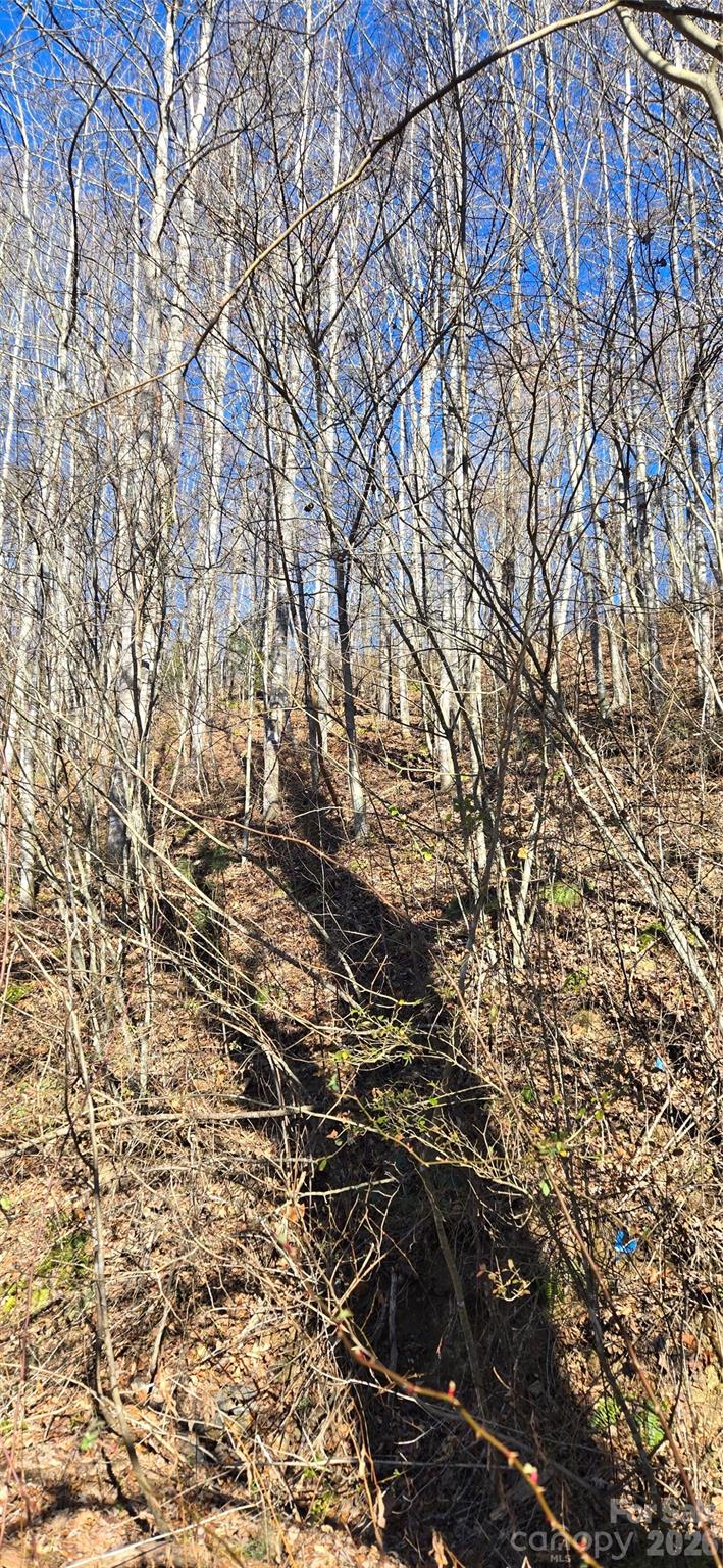 Lot at Lot 1 Turtle Rock Lane, Waynesville, photo 12 of 29