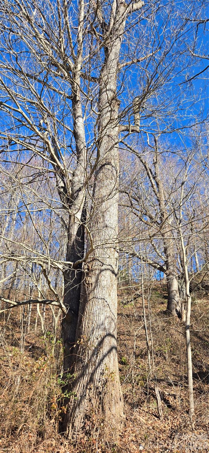 Lot at Lot 1 Turtle Rock Lane, Waynesville, photo 13 of 29