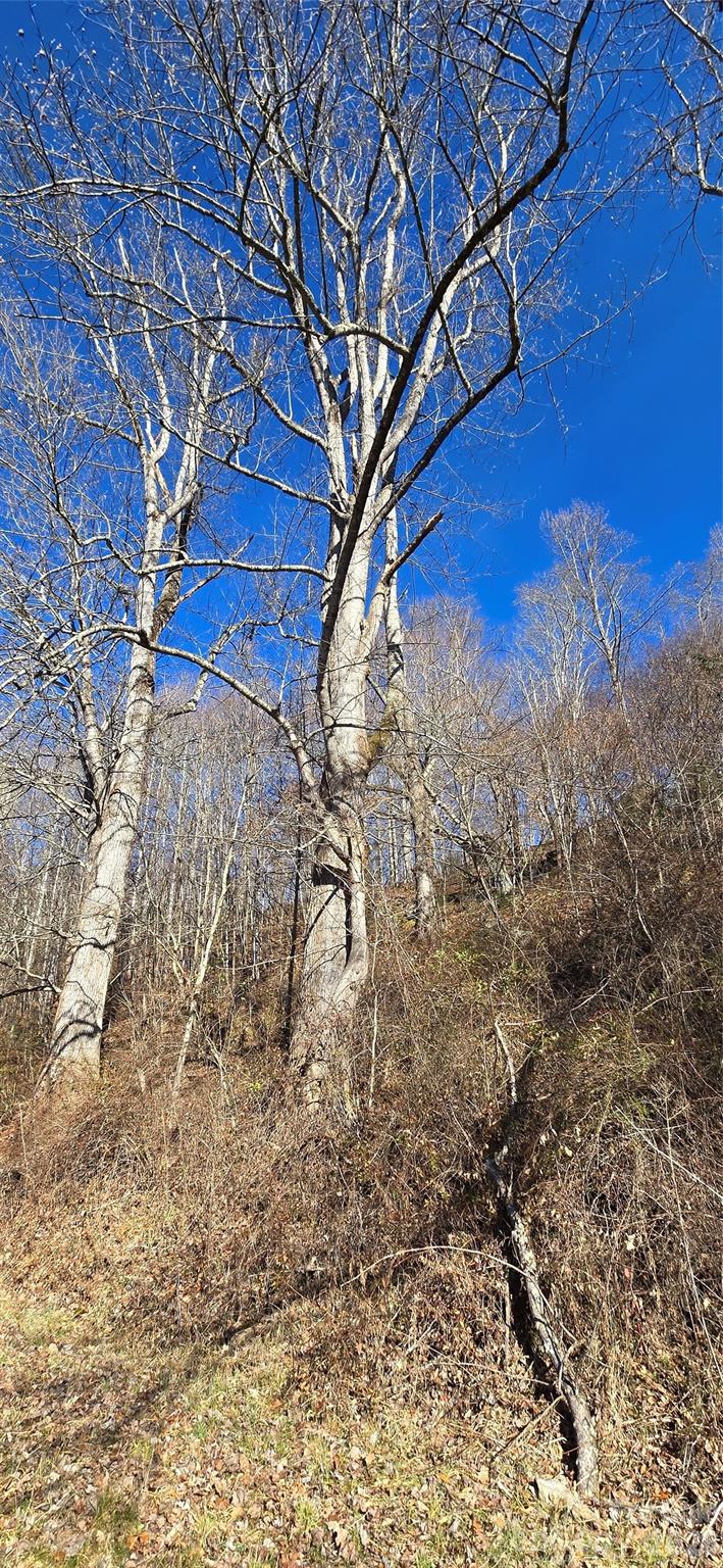 Lot at Lot 1 Turtle Rock Lane, Waynesville, photo 14 of 29