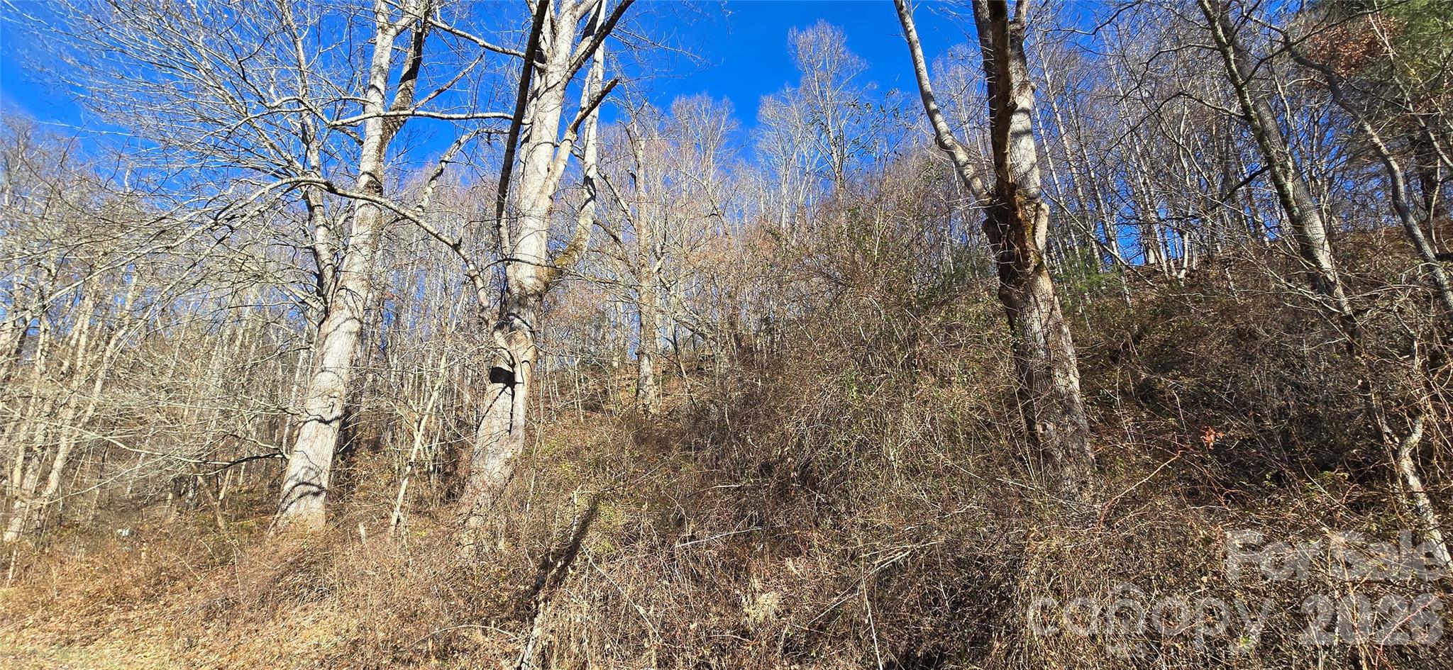Lot at Lot 1 Turtle Rock Lane, Waynesville, photo 15 of 29