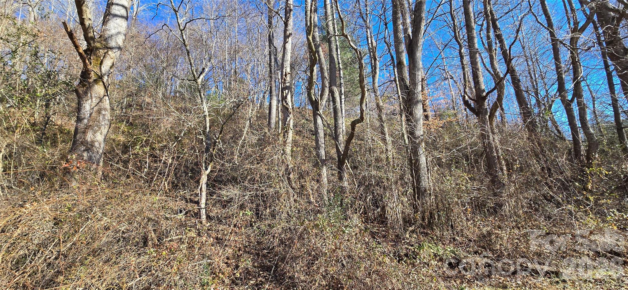 Lot at Lot 1 Turtle Rock Lane, Waynesville, photo 16 of 29
