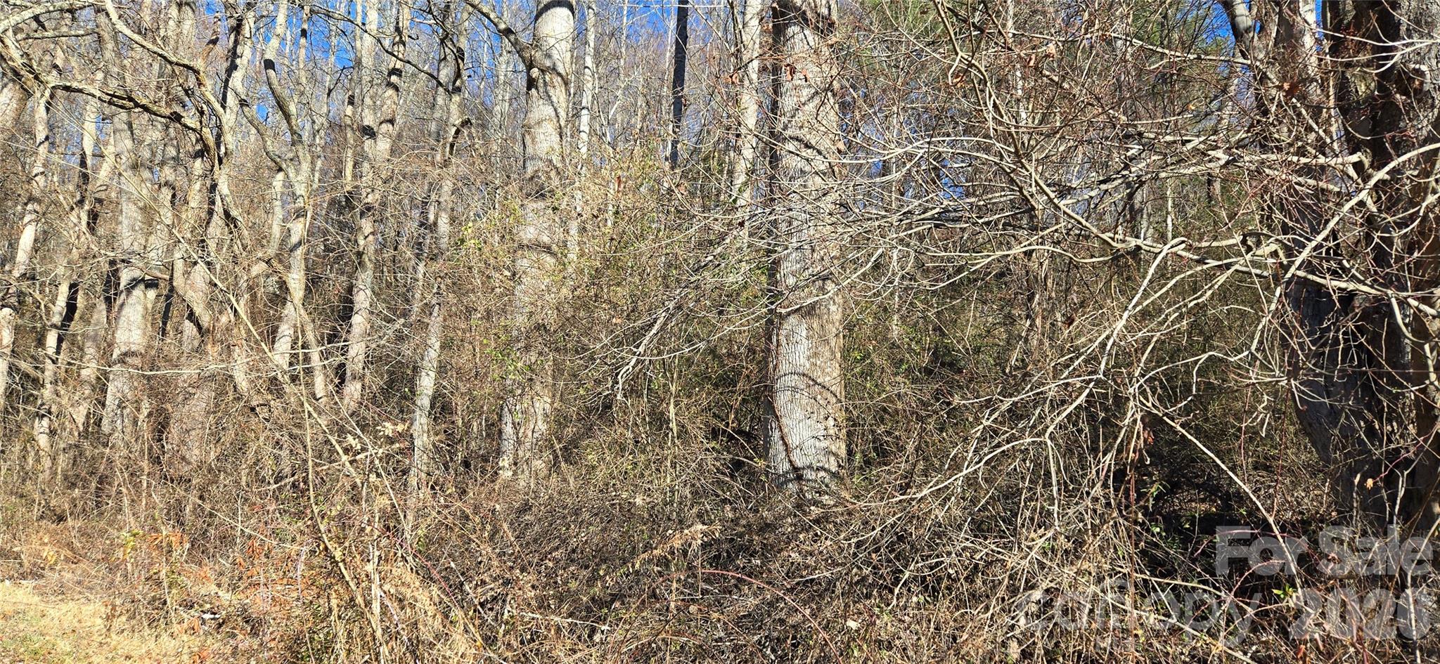 Lot at Lot 1 Turtle Rock Lane, Waynesville, photo 17 of 29