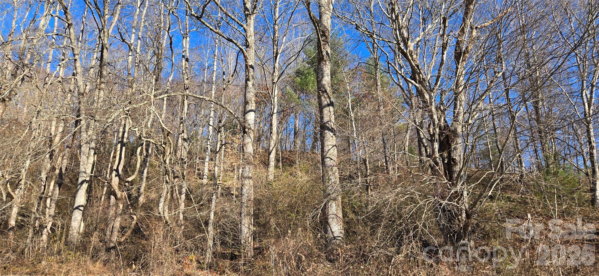 Lot at Lot 1 Turtle Rock Lane, Waynesville, photo 18 of 29