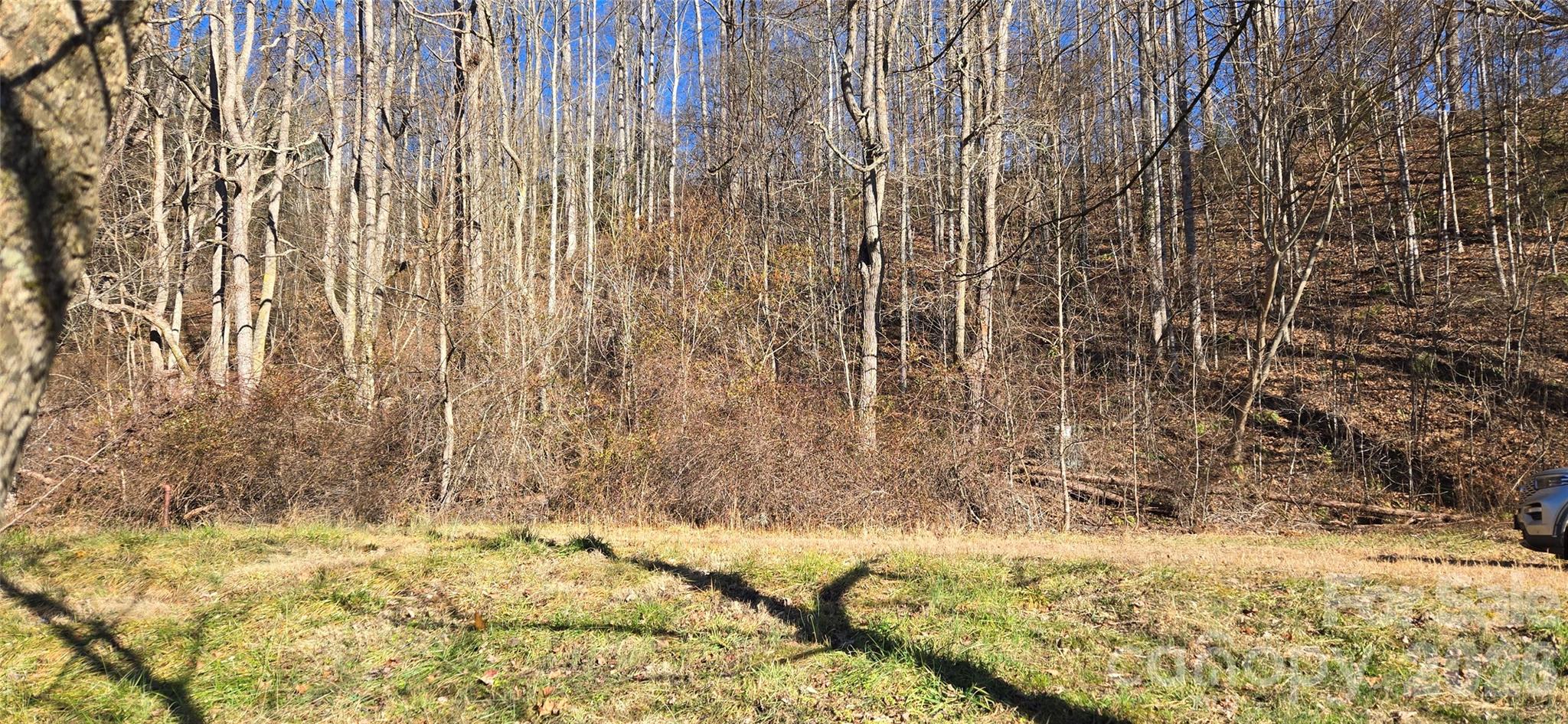 Lot at Lot 1 Turtle Rock Lane, Waynesville, photo 19 of 29