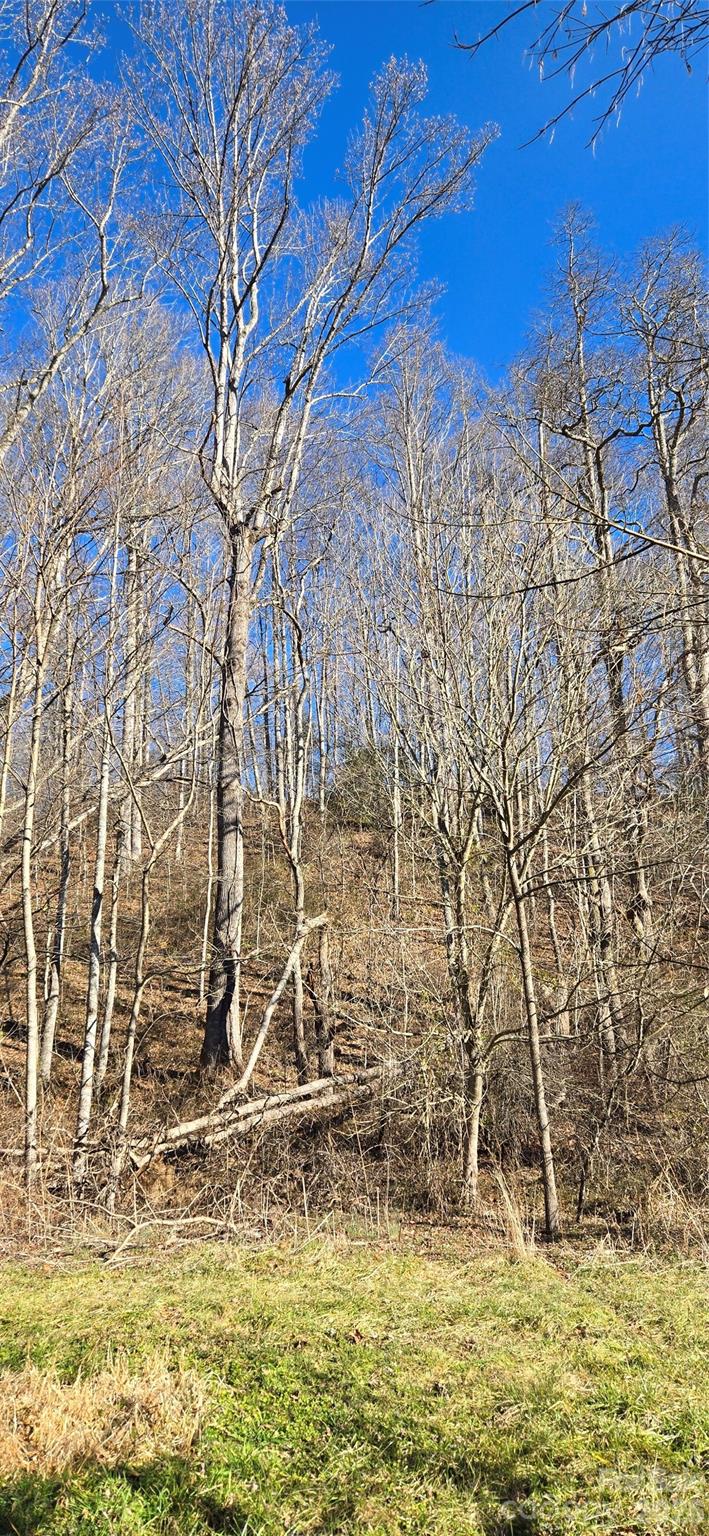 Lot at Lot 1 Turtle Rock Lane, Waynesville, photo 20 of 29