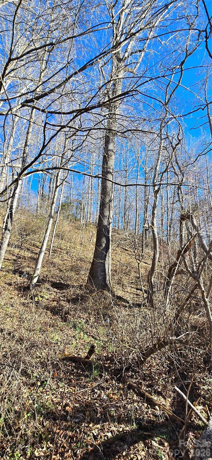 Lot at Lot 1 Turtle Rock Lane, Waynesville, photo 21 of 29