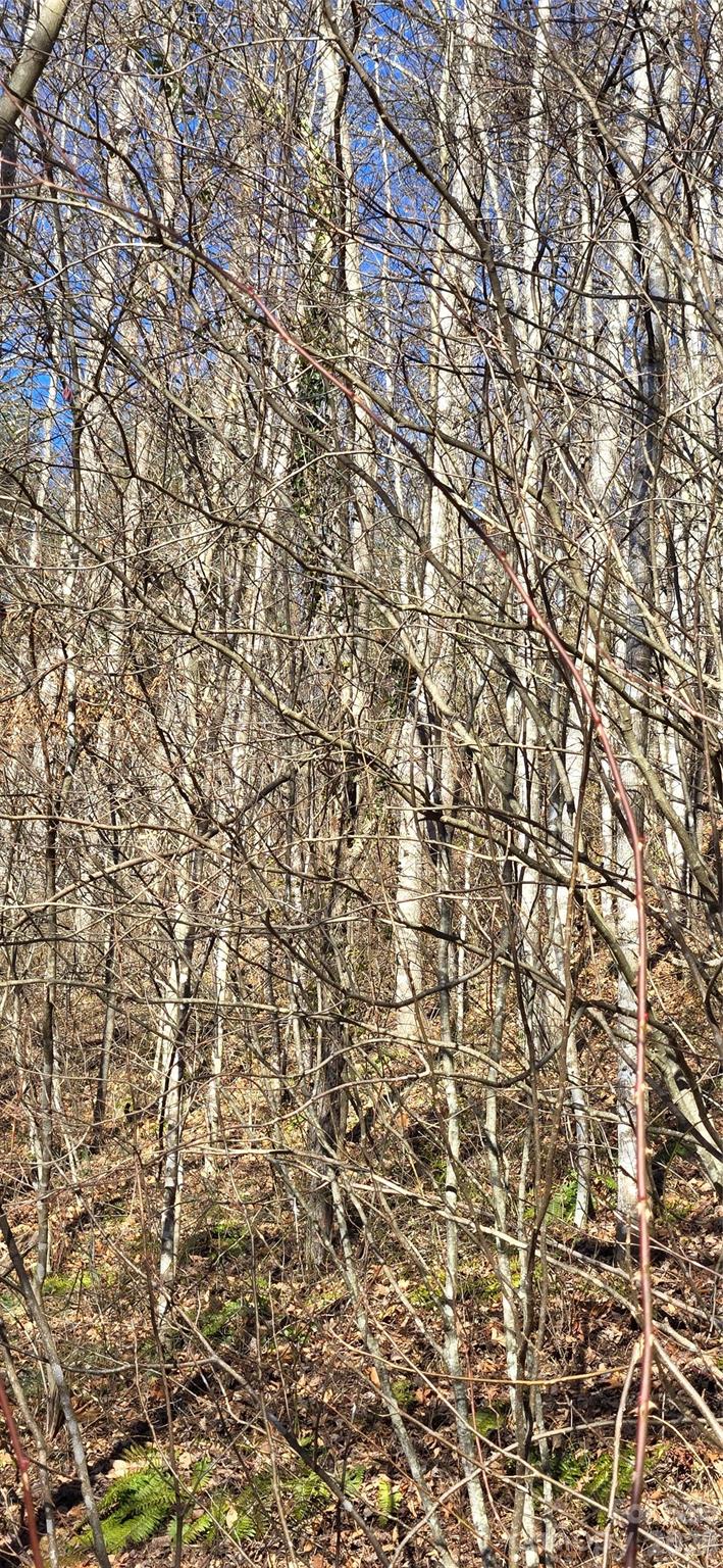 Lot at Lot 1 Turtle Rock Lane, Waynesville, photo 24 of 29