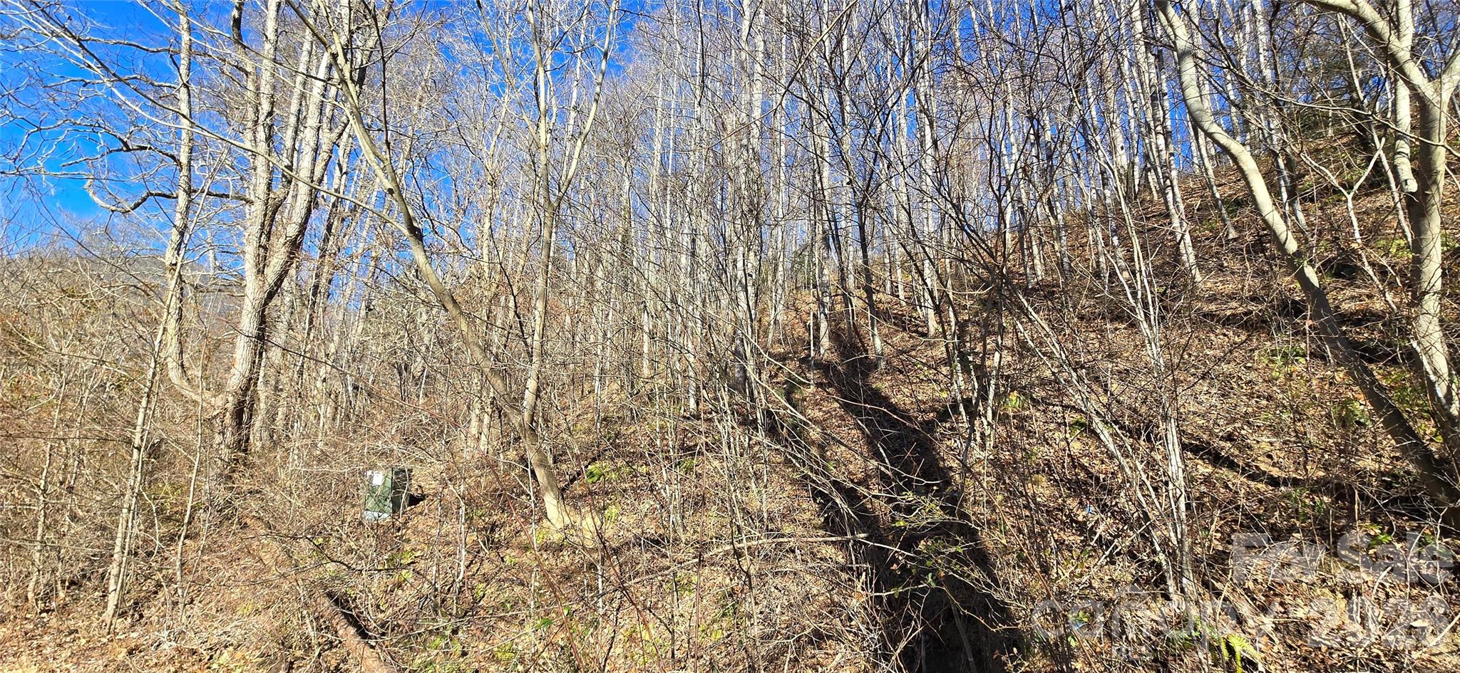 Lot at Lot 1 Turtle Rock Lane, Waynesville, photo 27 of 29