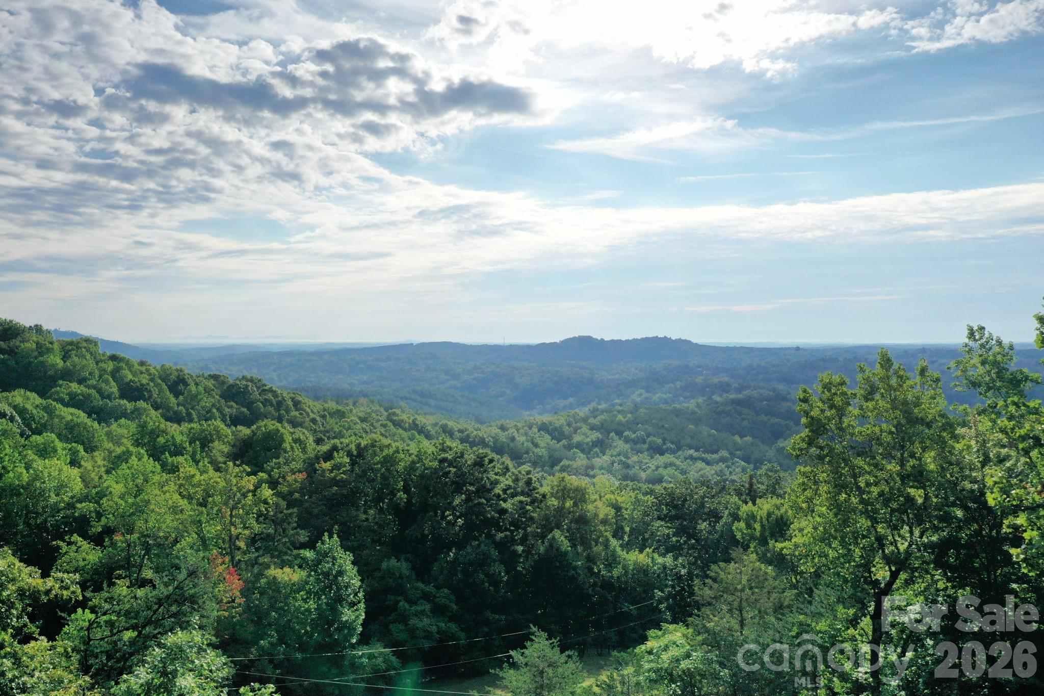 Lot at 0 Celestial Way, Mill Spring, photo 3 of 14