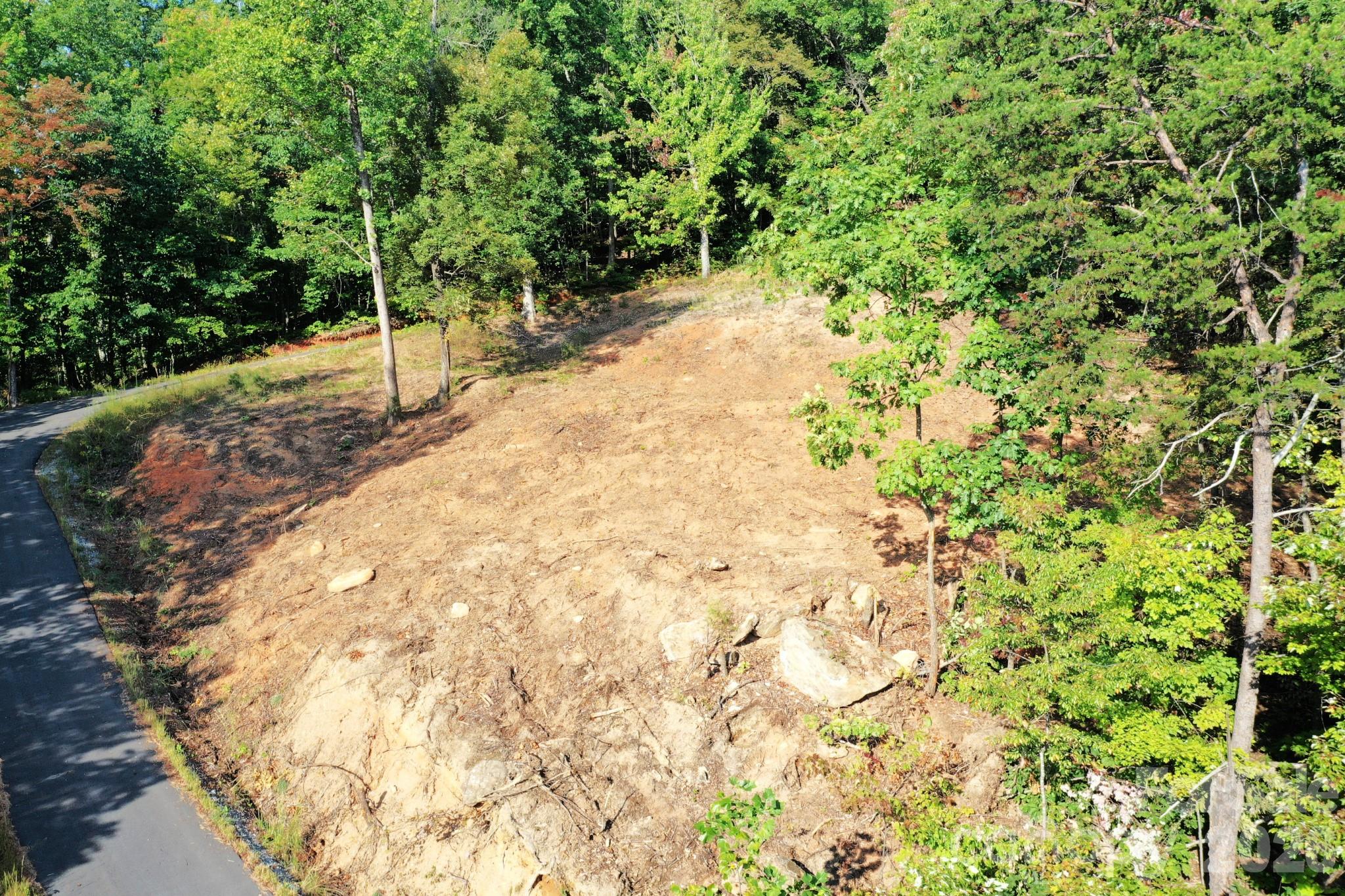 Lot at 0 Celestial Way, Mill Spring, photo 6 of 14