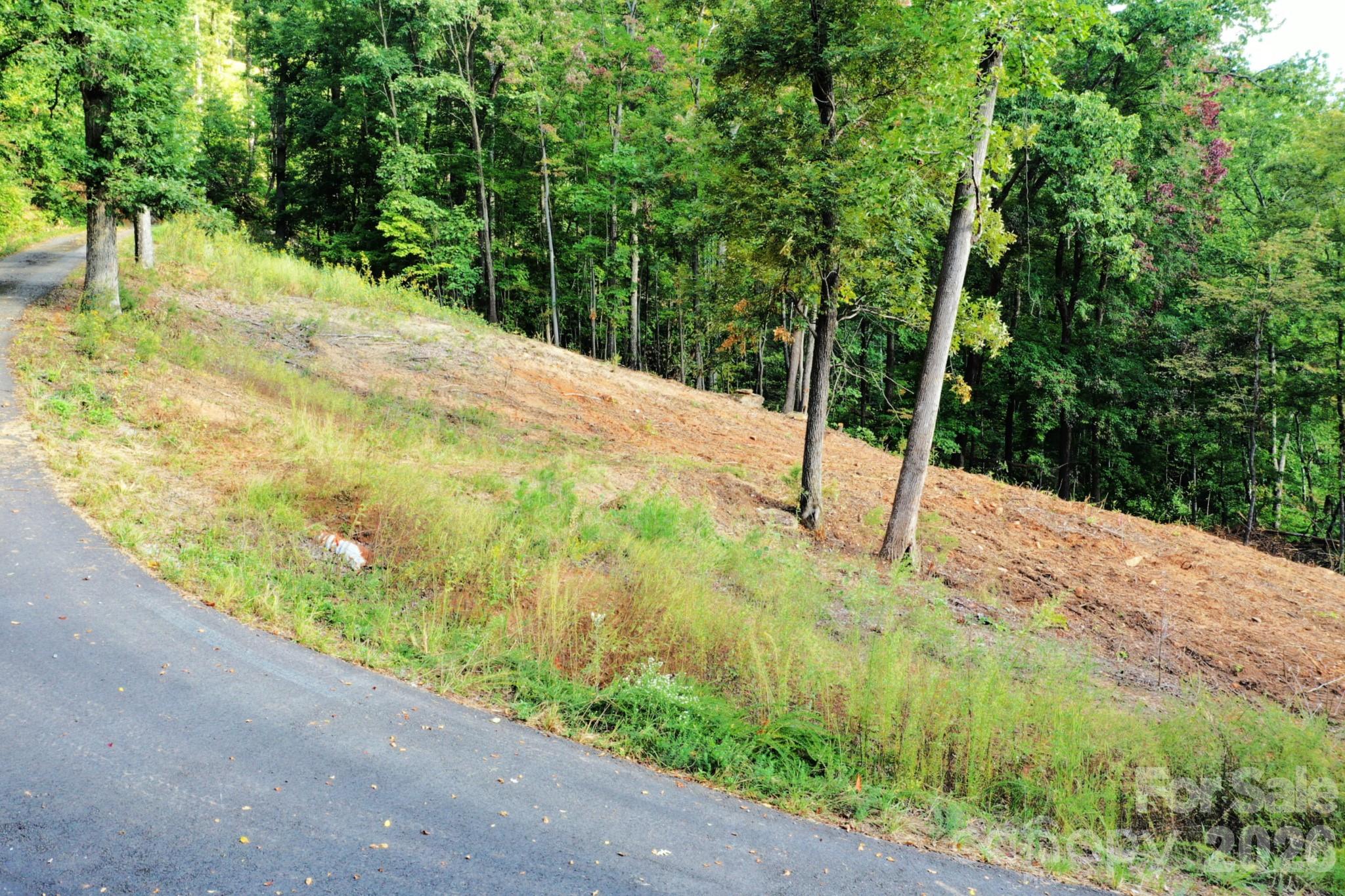 Lot at 0 Celestial Way, Mill Spring, photo 8 of 14