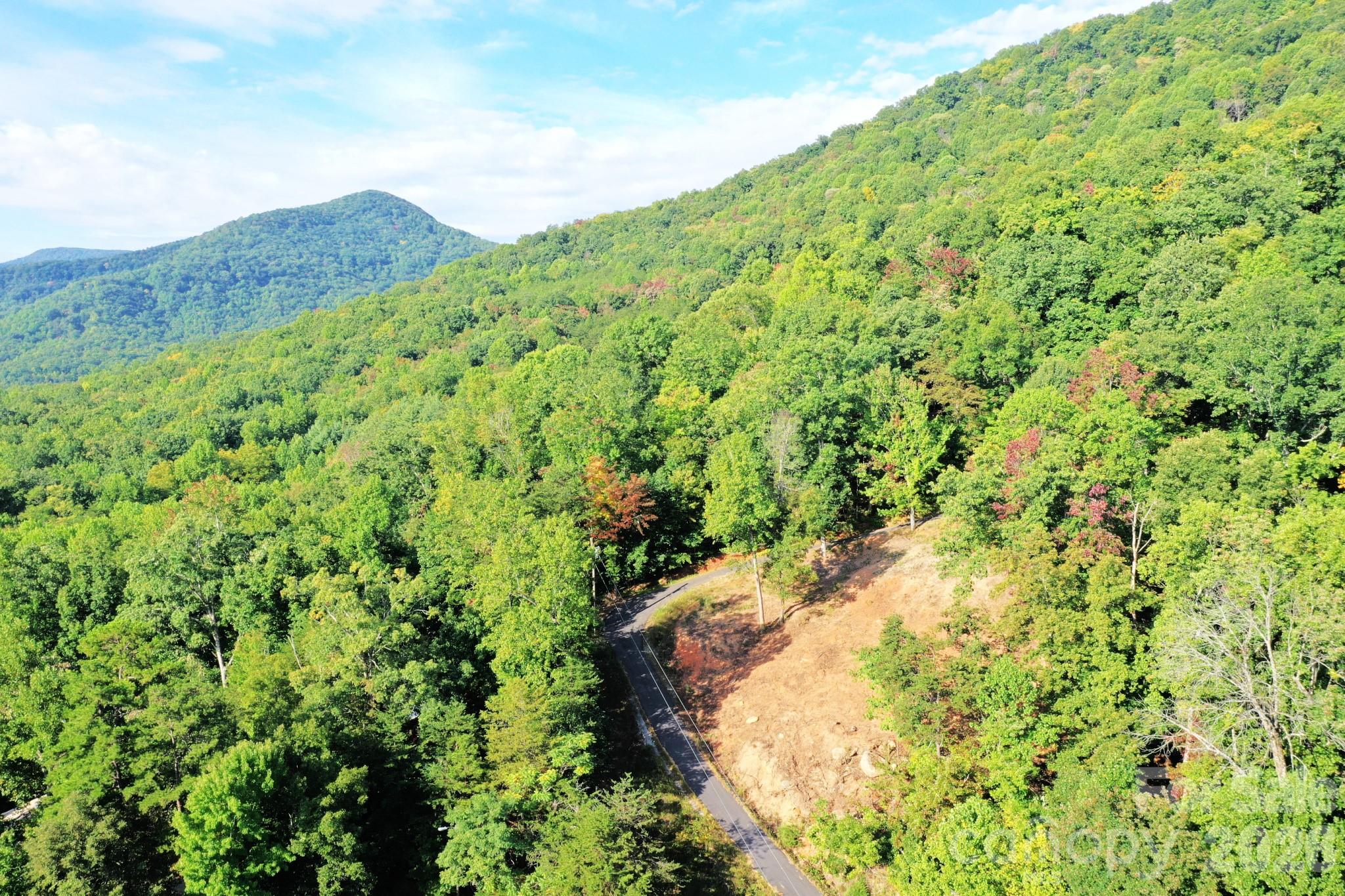 Lot at 0 Celestial Way, Mill Spring, photo 11 of 14