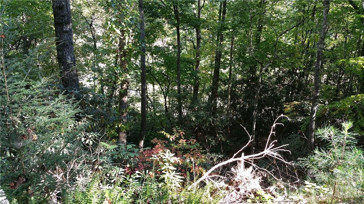 Lot at 0 Grandview Drive, Lake Lure, photo 2 of 13