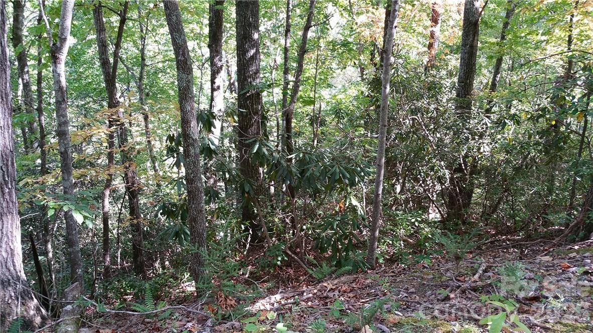 Lot at 0 Grandview Drive, Lake Lure, photo 4 of 13