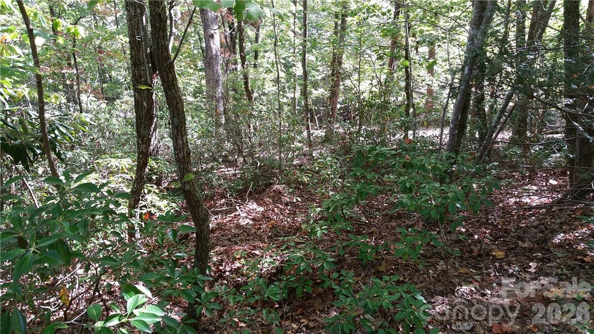 Lot at 0 Grandview Drive, Lake Lure, photo 5 of 13