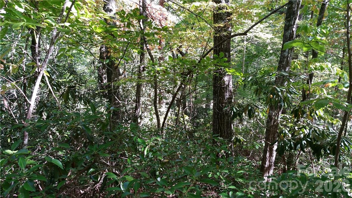 Lot at 0 Grandview Drive, Lake Lure, photo 6 of 13