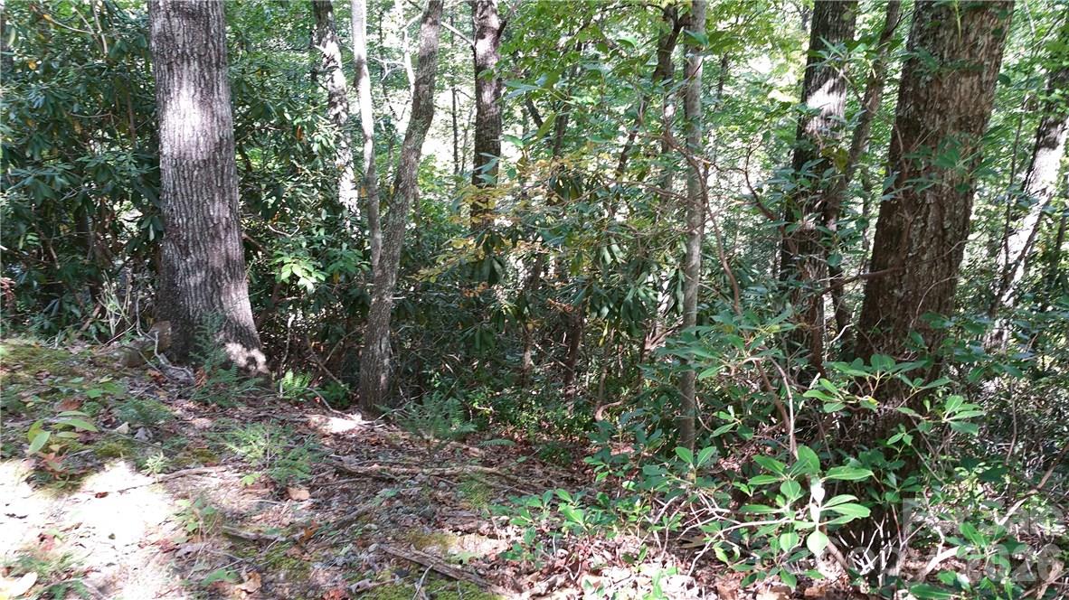 Lot at 0 Grandview Drive, Lake Lure, photo 7 of 13