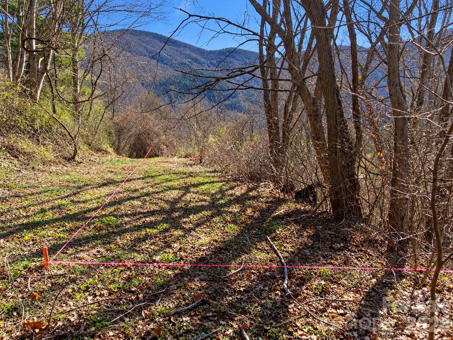 Lot at 81 Dove Crest Lane, Waynesville, photo 6 of 26