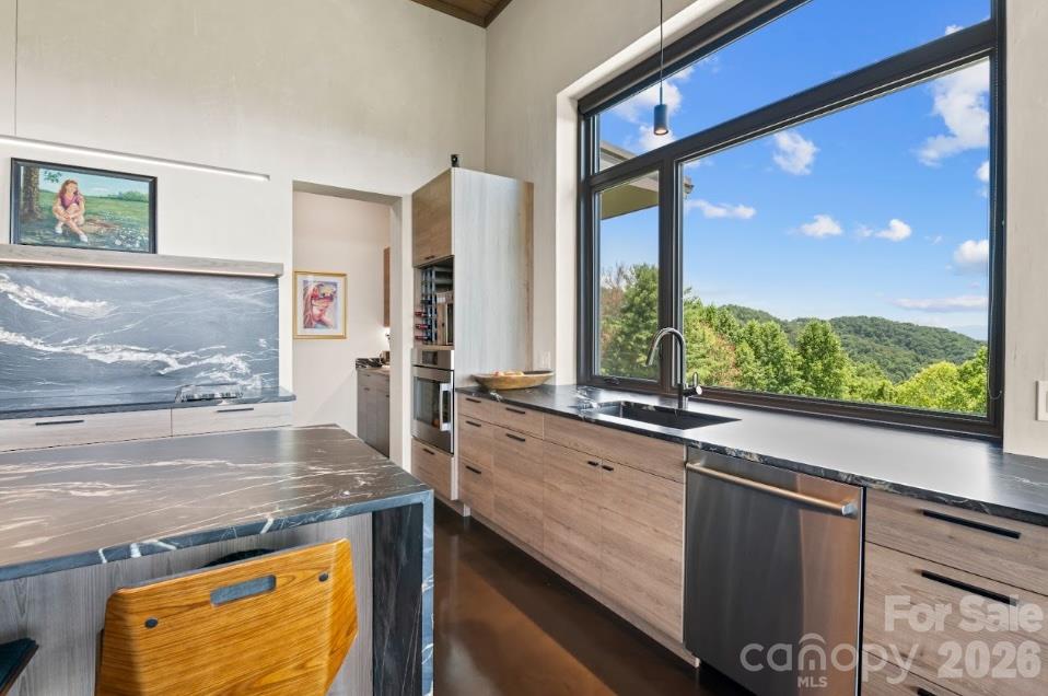 Main House-Sink with Large Viewing Window - 1045 & 1047 Graham Road, Marshall