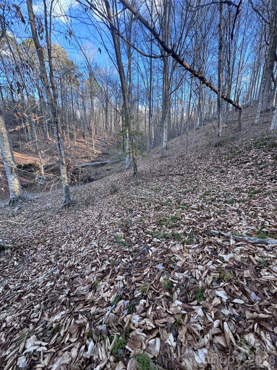 Lot at 0 Creekside Circle, Rutherfordton, photo 2 of 16