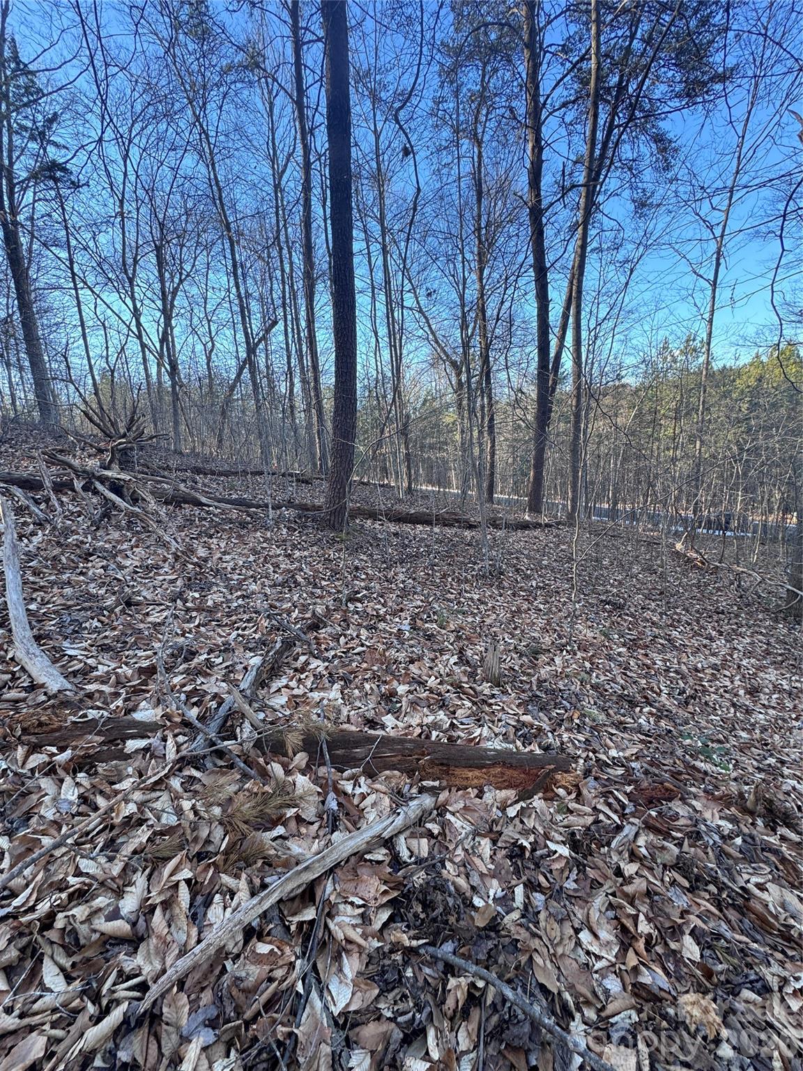Lot at 0 Creekside Circle, Rutherfordton, photo 3 of 16