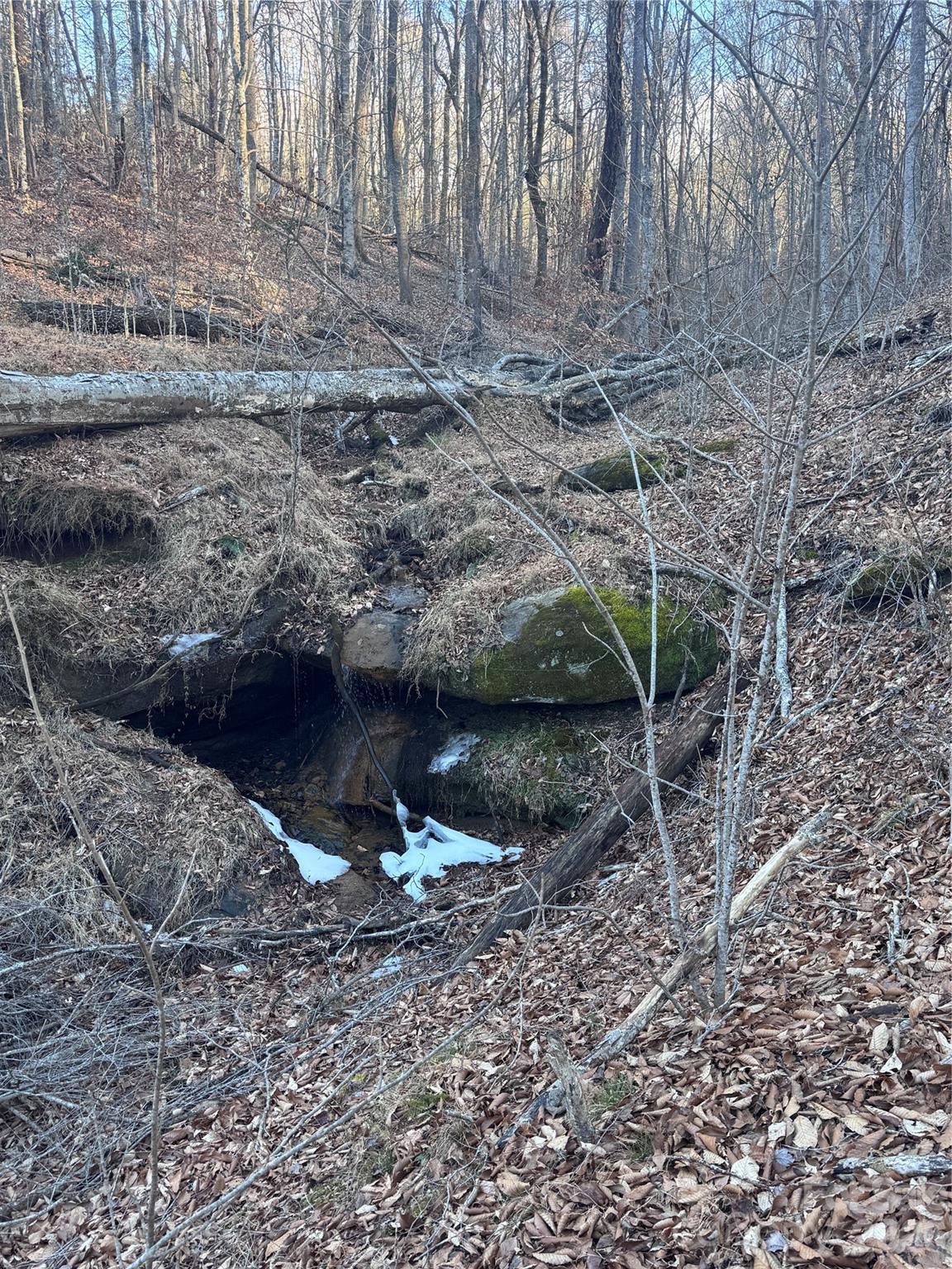 Lot at 0 Creekside Circle, Rutherfordton, photo 4 of 16