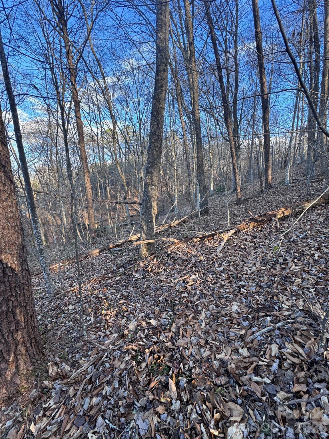 Lot at 0 Creekside Circle, Rutherfordton, photo 5 of 16