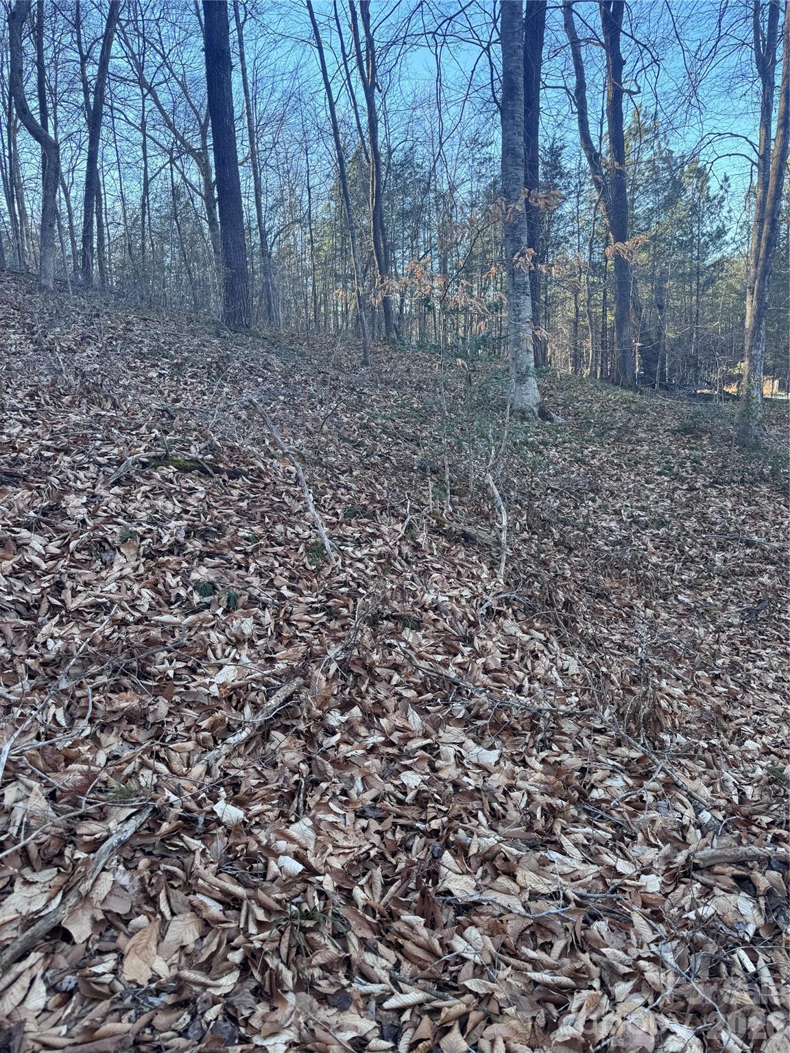 Lot at 0 Creekside Circle, Rutherfordton, photo 6 of 16
