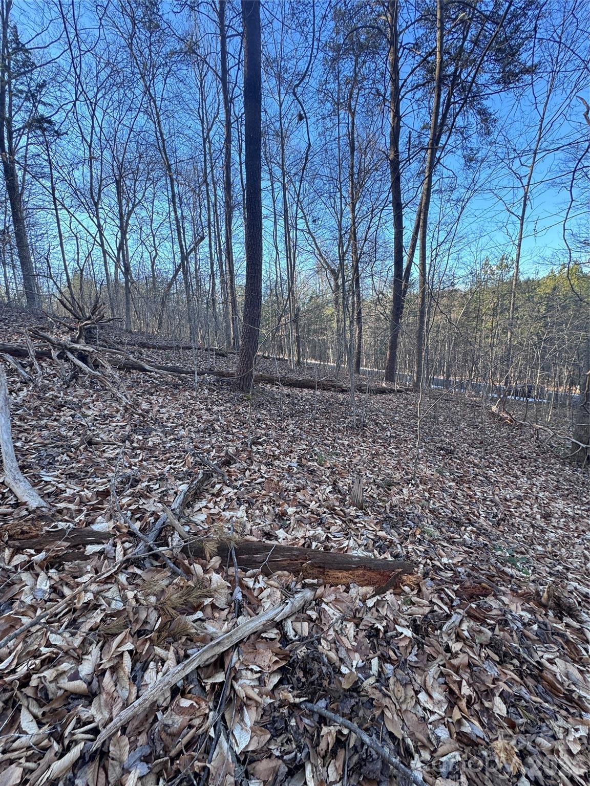 Lot at 0 Creekside Circle, Rutherfordton, photo 7 of 16