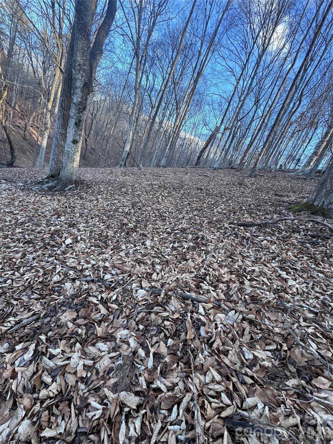 Lot at 0 Creekside Circle, Rutherfordton, photo 8 of 16