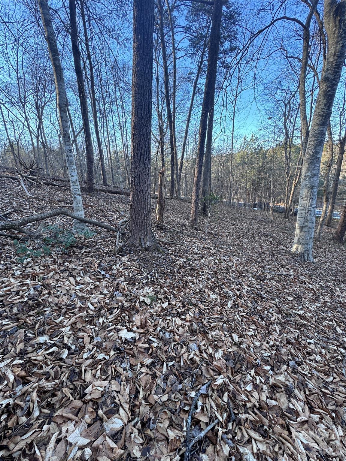 Lot at 0 Creekside Circle, Rutherfordton, photo 9 of 16