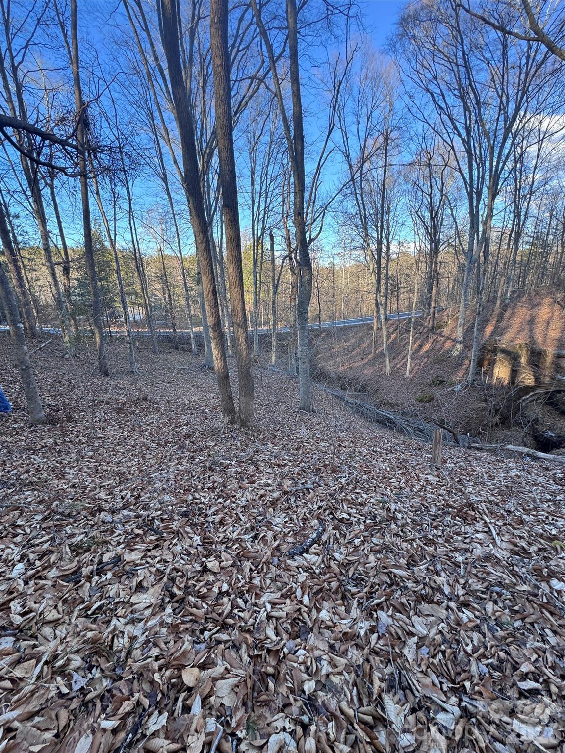Lot at 0 Creekside Circle, Rutherfordton, photo 10 of 16